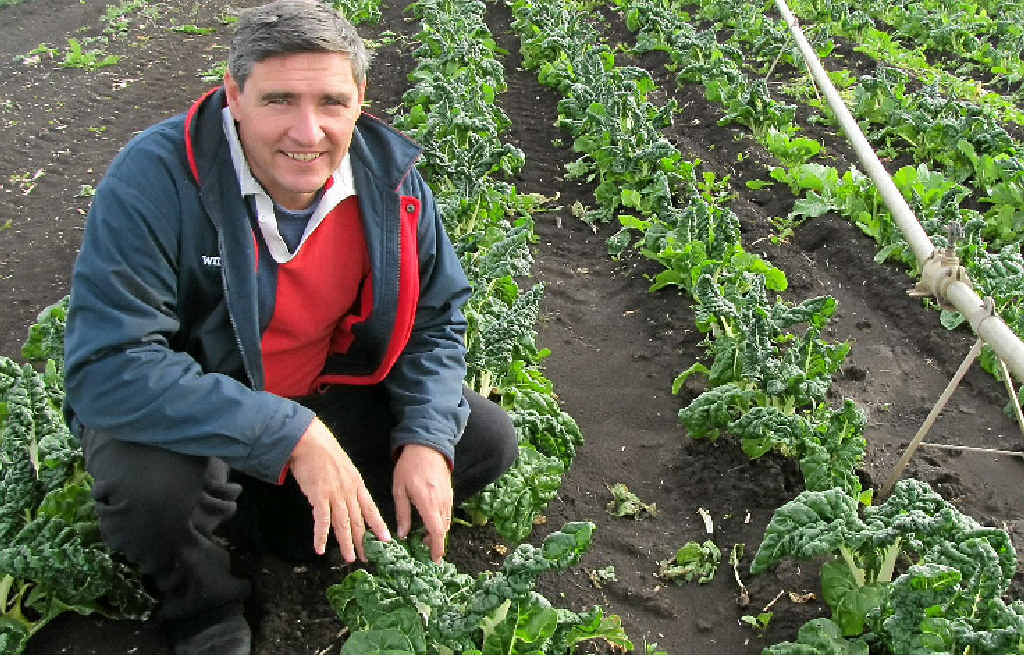 SILVER LINING: Jason Huggins is a member of the Southern Queensland Country Regional Food Network and is keen to start selling his fresh produce via the online marketing portal. SILVER LINING: Jason Huggins is a member of the Southern Queensland Country Regional Food Network and is keen to start selling his fresh produce via the online marketing portal.